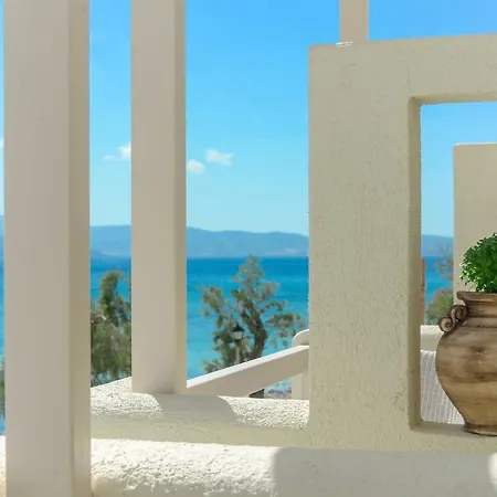 Angel Айя-Анна